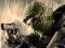 Gra Terrorist Shootout w Internecie