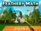 Gra Feathery Math w Internecie