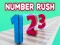 Gra Number Rush w Internecie