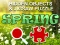 Gra Hidjigs Spring w Internecie