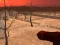 Gra Wasteland Shooters w Internecie