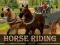 Gra Horse Riding Simulator w Internecie