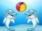 Gra Dolphin Show w Internecie