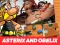 Gra Asterix and Obelix Jigsaw Puzzle w Internecie