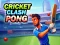 Gra Cricket Clash Pong w Internecie