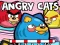 Gra Angry Cats w Internecie