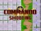 Gra Commando Shooting w Internecie
