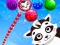 Gra Raccoon Rescue w Internecie