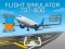 Gra Flight Simulator 737-800 w Internecie