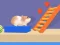 Gra Hamster Maze Online w Internecie