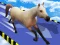 Gra Animal Impossible Track Rush w Internecie