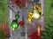 Gra Crush The Zombies w Internecie