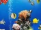 Gra Sea Underwater Difference w Internecie