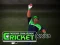 Gra Cricket Fielder Challenge w Internecie