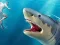 Gra Shark Hunting w Internecie