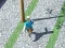 Gra City Run 3D w Internecie