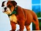 Gra Bulldog Puppy Puzzle w Internecie