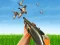 Gra Bird Hunting w Internecie