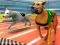Gra Dogs 3D Races w Internecie