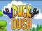 Gra Duck Dash w Internecie
