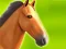 Gra Horse Run 3D w Internecie