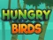 Gra Hungry Birds w Internecie