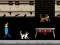 Gra Streamer Fashion Run w Internecie