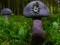 Gra Mushroom Forest Adventure w Internecie