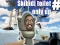 Gra Only UP Skibidi toilet w Internecie