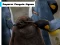 Gra Emperor Penguin Jigsaw w Internecie