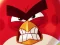 Gra Angry Birds vs Pigs w Internecie