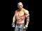 Gra Fight Arena Online w Internecie