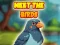 Gra Meet The Birds w Internecie