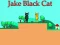 Gra Jake Black Cat w Internecie