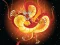 Gra Chinese Dragons Coloring w Internecie