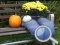 Gra Autumn Garden Find 100 butterflies w Internecie
