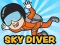 Gra Skydiver w Internecie
