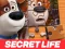 Gra The Secret Life of Pets Jigsaw Puzzle w Internecie