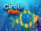 Gra Circle Fish w Internecie