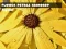 Gra Flower Petals Raindrop Jigsaw w Internecie