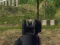 Gra Army Shooter w Internecie