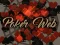 Gra Poker Web w Internecie
