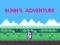 Gra Bunn's Adventure w Internecie