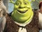 Gra Shrek Jigsaw Puzzle Collection w Internecie