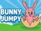 Gra Bunny Jumpy w Internecie