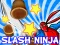 Gra Slash Ninja w Internecie