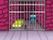 Gra G2M Prison Escape w Internecie