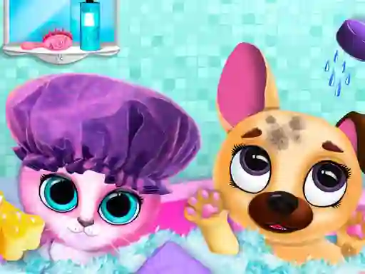 Gra Cute Pet Friends w Internecie