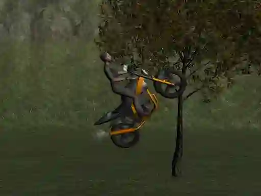 Gra Mountain Bike Rider w Internecie