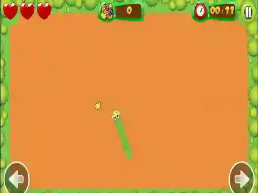 Gra Fruit Snake w Internecie